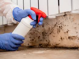 Best Environmental Consulting for Mold Prevention in USA